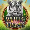 White Tiger