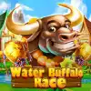 Water Buffalo Race