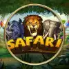 Safari