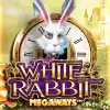 White Rabbit