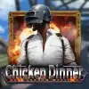 Chicken Dinner