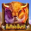 Buffalo Burst