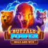 Buffalo Power